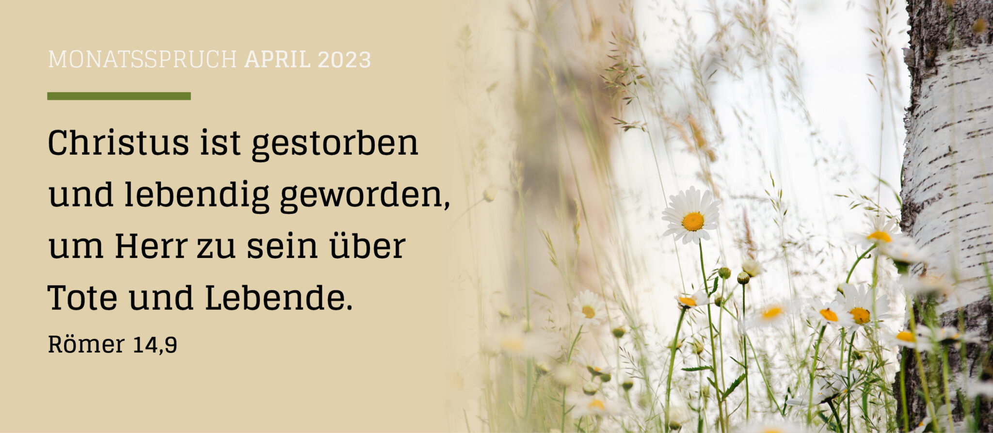Monatssprüche 2023 Gemeindebriefhelfer