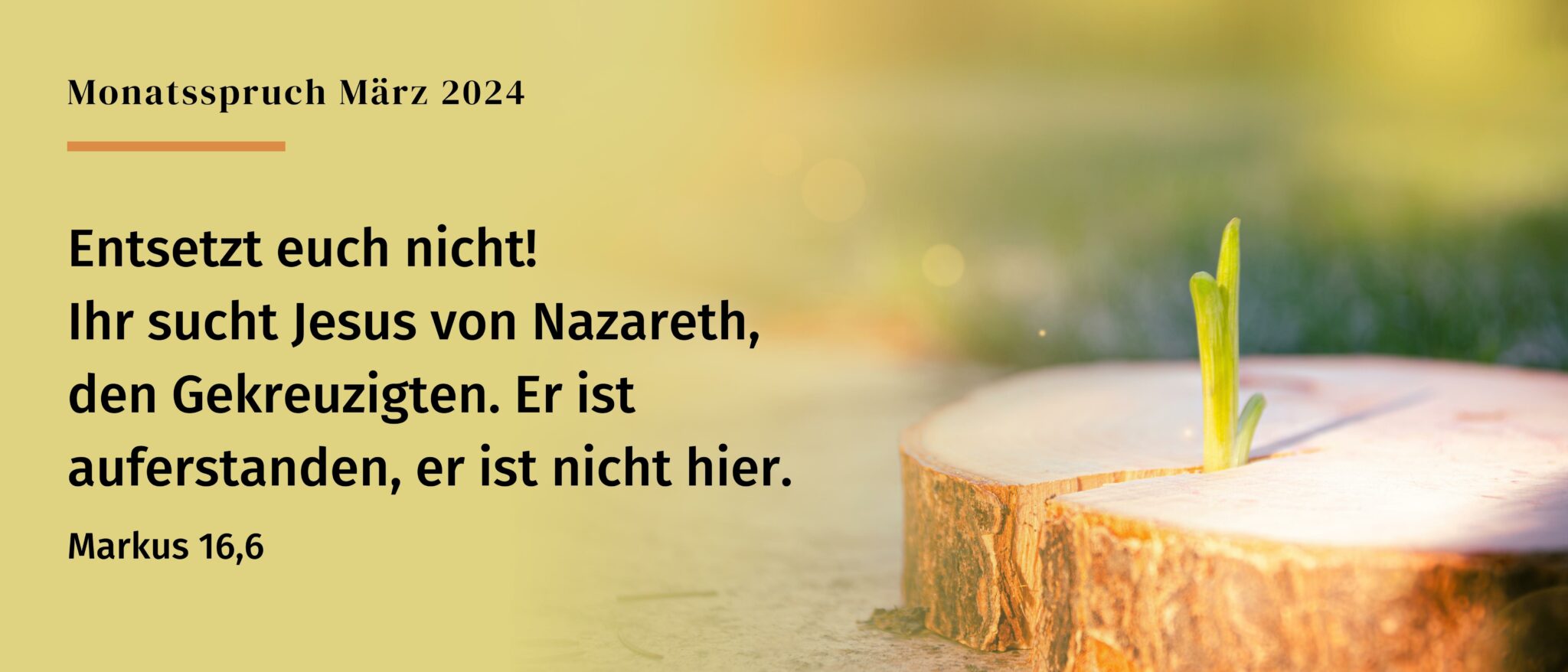 Monatssprüche 2024 Gemeindebriefhelfer